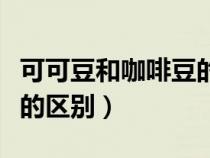 可可豆和咖啡豆的區(qū)別功效（可可豆和咖啡豆的區(qū)別）