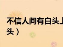 不信人間有白頭上一句是什么（不信人間有白頭）