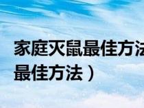 家庭滅鼠最佳方法老鼠喜歡吃什么（家庭滅鼠最佳方法）