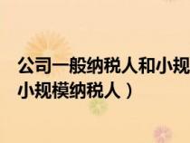 公司一般納稅人和小規(guī)模的區(qū)別（怎么查是一般納稅人還是小規(guī)模納稅人）