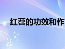 紅苕的功效和作用及禁忌（紅苕的功效）