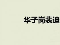 華子崗裴迪譯文（華子崗裴迪）