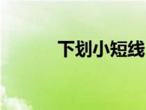 下劃小短線（下劃短線怎么打）