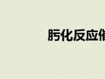 肟化反應(yīng)催化劑（肟化反應(yīng)）
