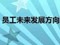 員工未來(lái)發(fā)展方向怎么寫（發(fā)展方向怎么寫）