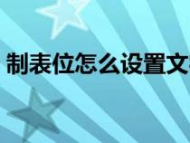 制表位怎么設(shè)置文字寬度（制表位怎么設(shè)置）