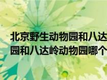 北京野生動(dòng)物園和八達(dá)嶺野生動(dòng)物園的區(qū)別(北京野生動(dòng)物園和八達(dá)嶺動(dòng)物園哪個(gè)好) 北京野生動(dòng)物園和八達(dá)嶺野生動(dòng)物園的區(qū)別(北京野生動(dòng)物園和八達(dá)嶺動(dòng)物園哪個(gè)好)