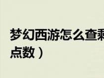 夢(mèng)幻西游怎么查剩余點(diǎn)數(shù)(夢(mèng)幻西游查詢剩余點(diǎn)數(shù)) 夢(mèng)幻西游怎么查剩余點(diǎn)數(shù)(夢(mèng)幻西游查詢剩余點(diǎn)數(shù))
