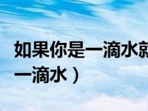 如果你是一滴水就要滋潤(rùn)一寸土地（如果你是一滴水）