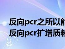 反向pcr之所以能擴(kuò)增未知序列的原因在于(反向pcr擴(kuò)增質(zhì)粒) 反向pcr之所以能擴(kuò)增未知序列的原因在于(反向pcr擴(kuò)增質(zhì)粒)
