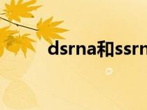 dsrna和ssrna名詞解釋（dsrna）
