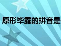原形畢露的拼音是什么寫（原形畢露的拼音）