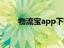 物流寶app下載最新版本（物流寶）
