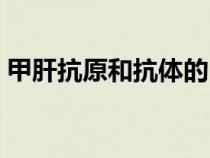 甲肝抗原和抗體的區(qū)別（抗原和抗體的區(qū)別）
