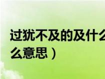 過猶不及的及什么意思的然（過猶不及的及什么意思）