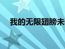 我的無限翅膀未和諧版（我的無限翅膀）