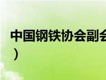 中國鋼鐵協(xié)會副會長什么級別（中國鋼鐵協(xié)會）