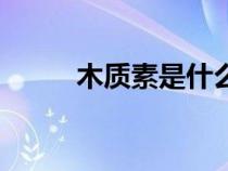 木質(zhì)素是什么糖（木質(zhì)素是什么）