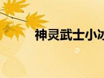 神靈武士小冰冰傳奇（神靈武士）