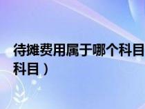 待攤費用屬于哪個科目的二級科目類別（待攤費用屬于哪個科目）