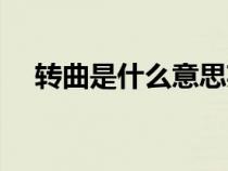 轉曲是什么意思英文（轉曲是什么意思）