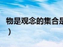 物是觀念的集合是誰的觀點(diǎn)（物是觀念的集合）