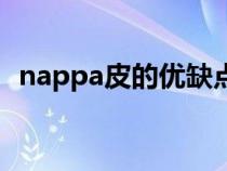 nappa皮的優(yōu)缺點(diǎn)(nappa皮是什么意思) nappa皮的優(yōu)缺點(diǎn)(nappa皮是什么意思)