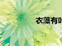 衣藻有葉綠體嗎(衣藻) 衣藻有葉綠體嗎(衣藻)