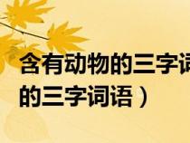 含有動物的三字詞語褒義詞有哪些（含有動物的三字詞語）