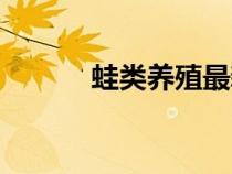 蛙類養(yǎng)殖最新政策（蛙類養(yǎng)殖）
