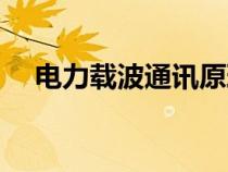 電力載波通訊原理（電力載波通信原理）