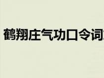 鶴翔莊氣功口令詞放音樂(lè)（鶴翔莊氣功口令）