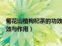 菊花山楂枸杞茶的功效與作用禁忌癥（菊花山楂枸杞茶的功效與作用）
