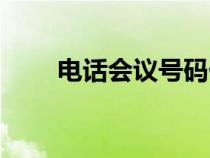 電話會議號碼什么意思（電話會議）