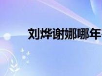 劉燁謝娜哪年在一起的（劉燁謝娜）