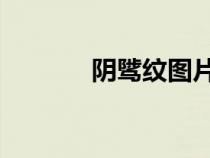 陰騭紋圖片 真實照片（陰騭）