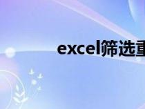 excel篩選重復項（excel篩選）