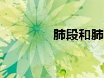 肺段和肺葉的區(qū)別（肺段）