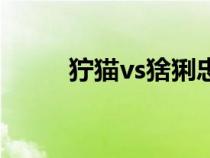 獰貓vs猞猁忠誠度（獰貓vs猞猁）