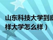 山東科技大學(xué)到底好不好（山東科技大學(xué)怎么樣大學(xué)怎么樣）