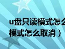 u盤只讀模式怎么取消無法格式化（u盤只讀模式怎么取消）