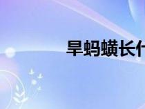 旱螞蟥長什么樣子（旱螞蟥）