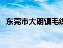 東莞市大朗鎮(zhèn)毛織一條街（東莞市大朗鎮(zhèn)）