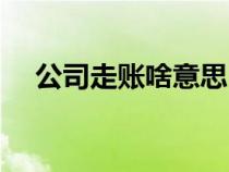 公司走賬啥意思（公司走賬是什么意思）
