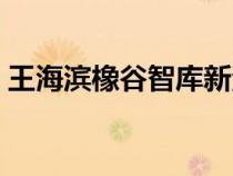 王海濱橡谷智庫(kù)新浪微博（王海濱橡谷智庫(kù)）