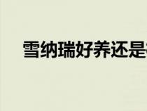 雪納瑞好養(yǎng)還是柯基好養(yǎng)（雪納瑞好養(yǎng)）