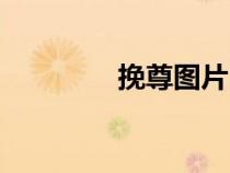挽尊圖片（挽尊是啥意思）