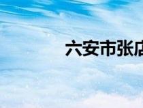 六安市張店中學（張店中學）