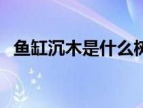 魚缸沉木是什么樹的木頭做的（魚缸沉木）