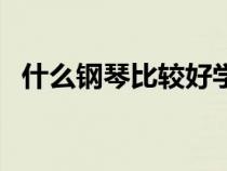 什么鋼琴比較好學(xué)一點(diǎn)（什么鋼琴比較好）